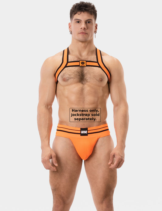 Barcode Berlin Harness Colin Orange
