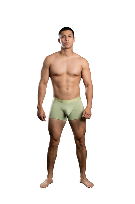 Andrew Christian ALMOST NAKED® Bamboo Boxer Pistachio