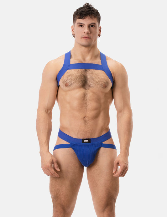 Barcode Berlin Multipack 1x Anton Jock Royal + Harness Matt Royal