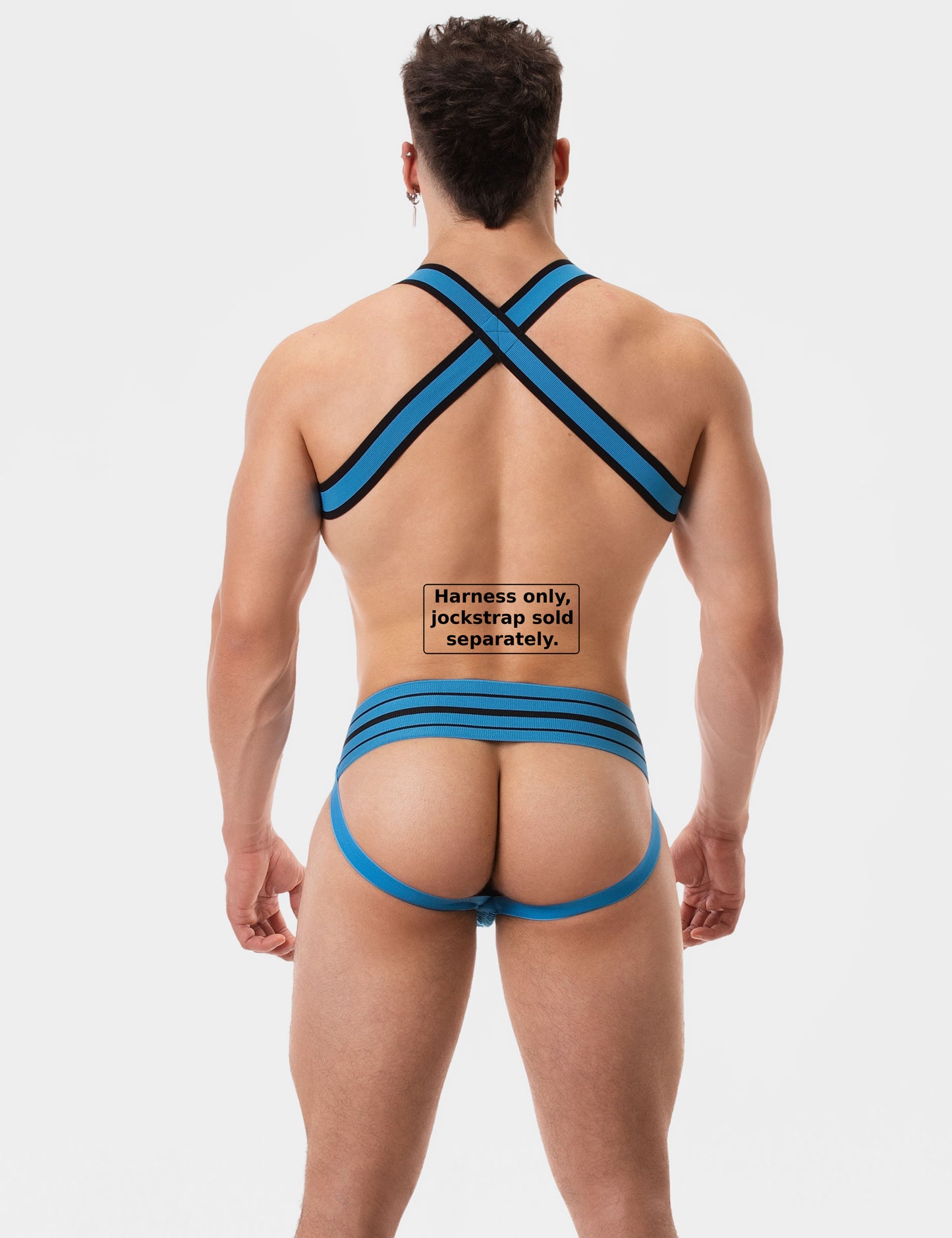 Barcode Berlin Arnés Colin Azul