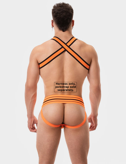 Barcode Berlin Harness Colin Orange
