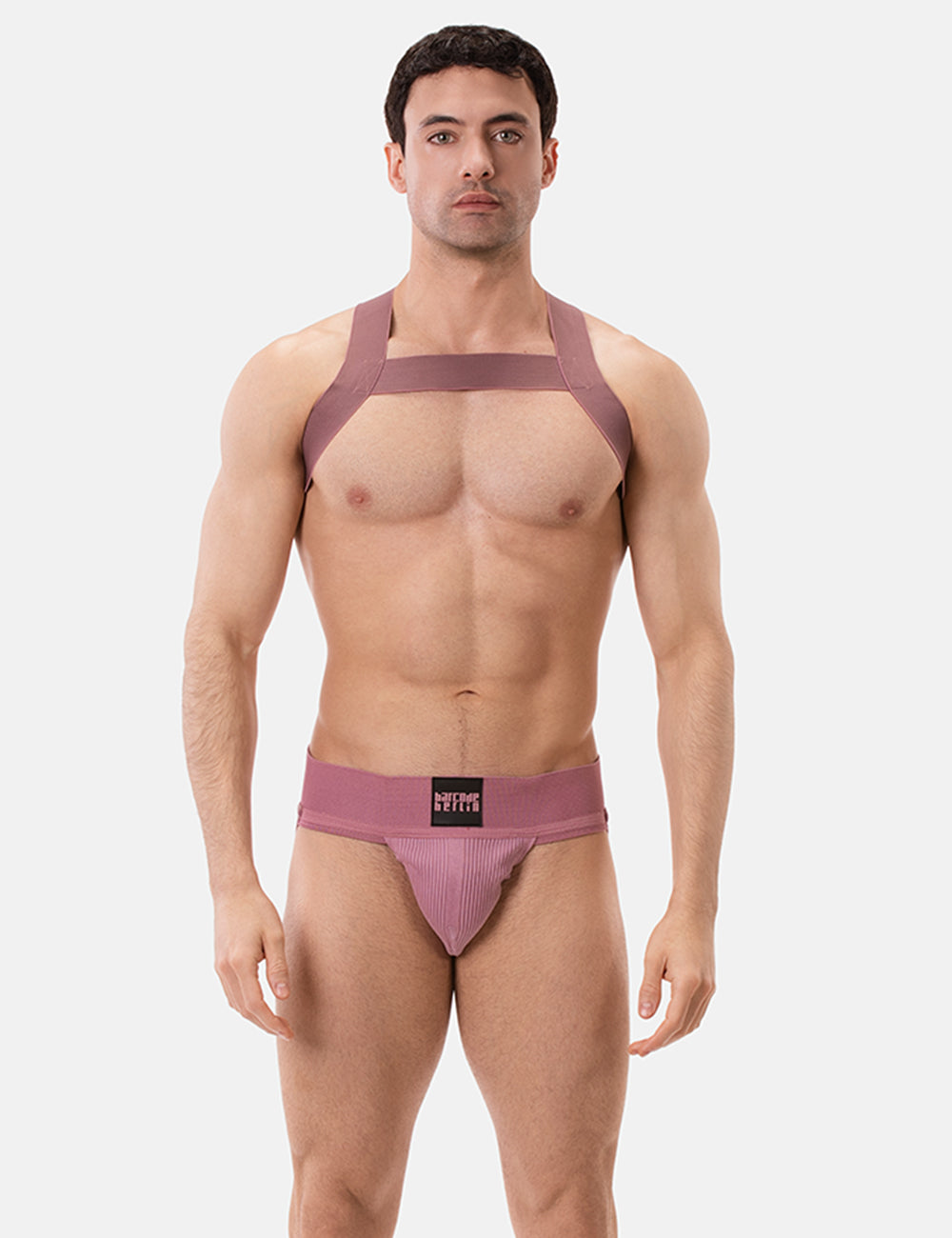 Barcode Berlin Multipack 1x Sergey Jockstrap + 1x Matt Pop Harness Brownishpurple