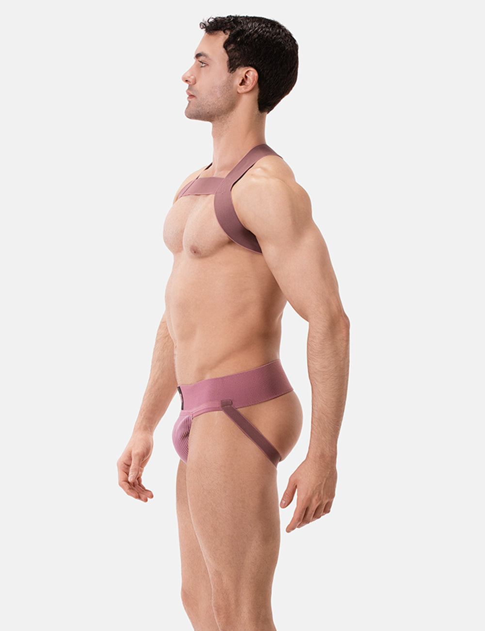 Barcode Berlin Multipack 1x Sergey Jockstrap + 1x Matt Pop Harness Brownishpurple