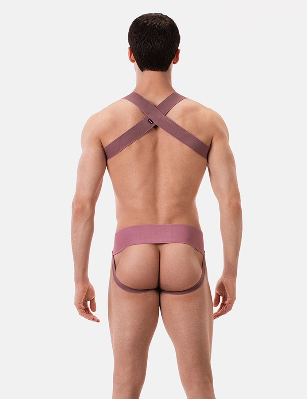 Barcode Berlin Multipack 1x Sergey Jockstrap + 1x Matt Pop Harness Brownishpurple