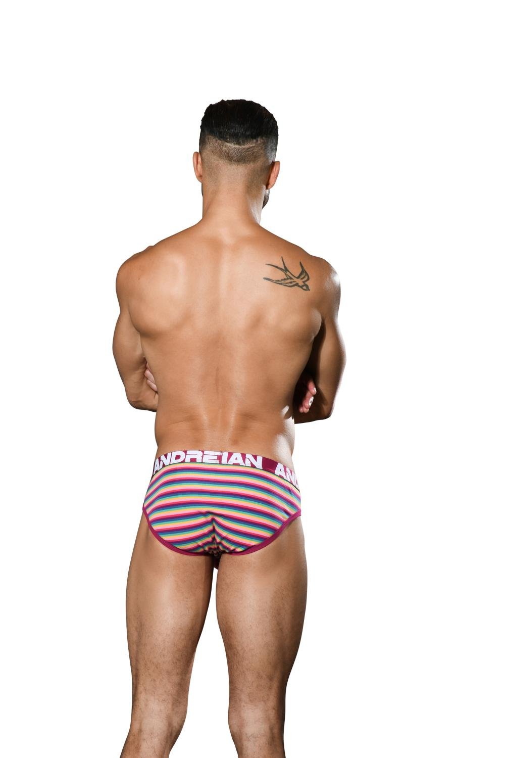 Andrew Christian Colony Stripe Brief w/ ALMOST NAKED®