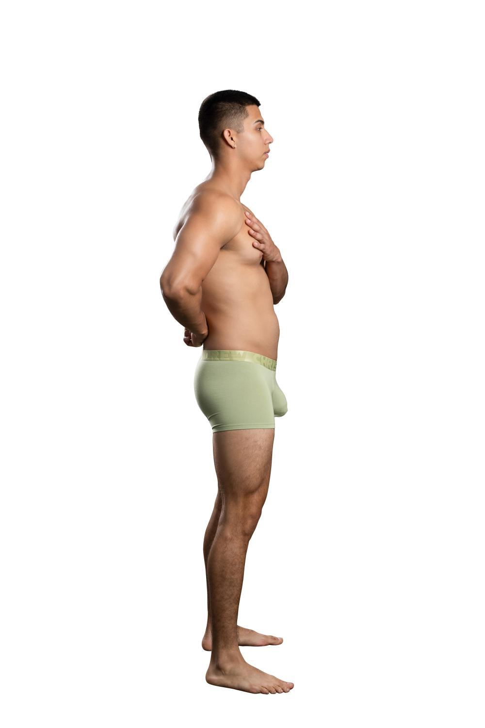 Andrew Christian ALMOST NAKED® Bamboo Boxer Pistachio