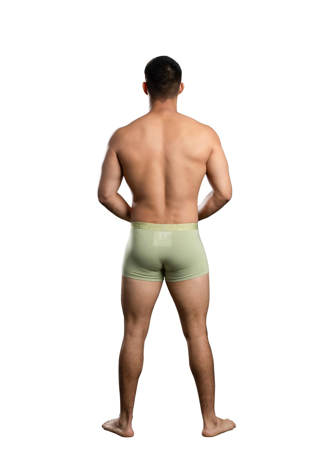 Andrew Christian ALMOST NAKED® Bamboo Boxer Pistachio