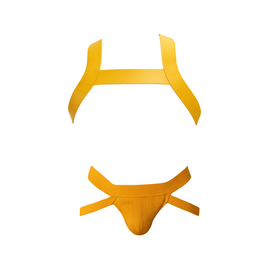 Barcode Berlin Multipack 1x Anton Jock Yellow + Harness Matt Yellow