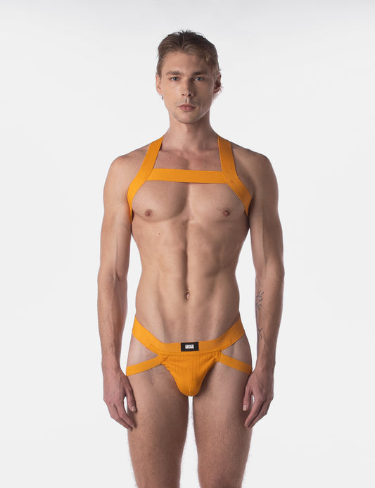 Barcode Berlin Multipack 1x Anton Jock Yellow + Harness Matt Yellow