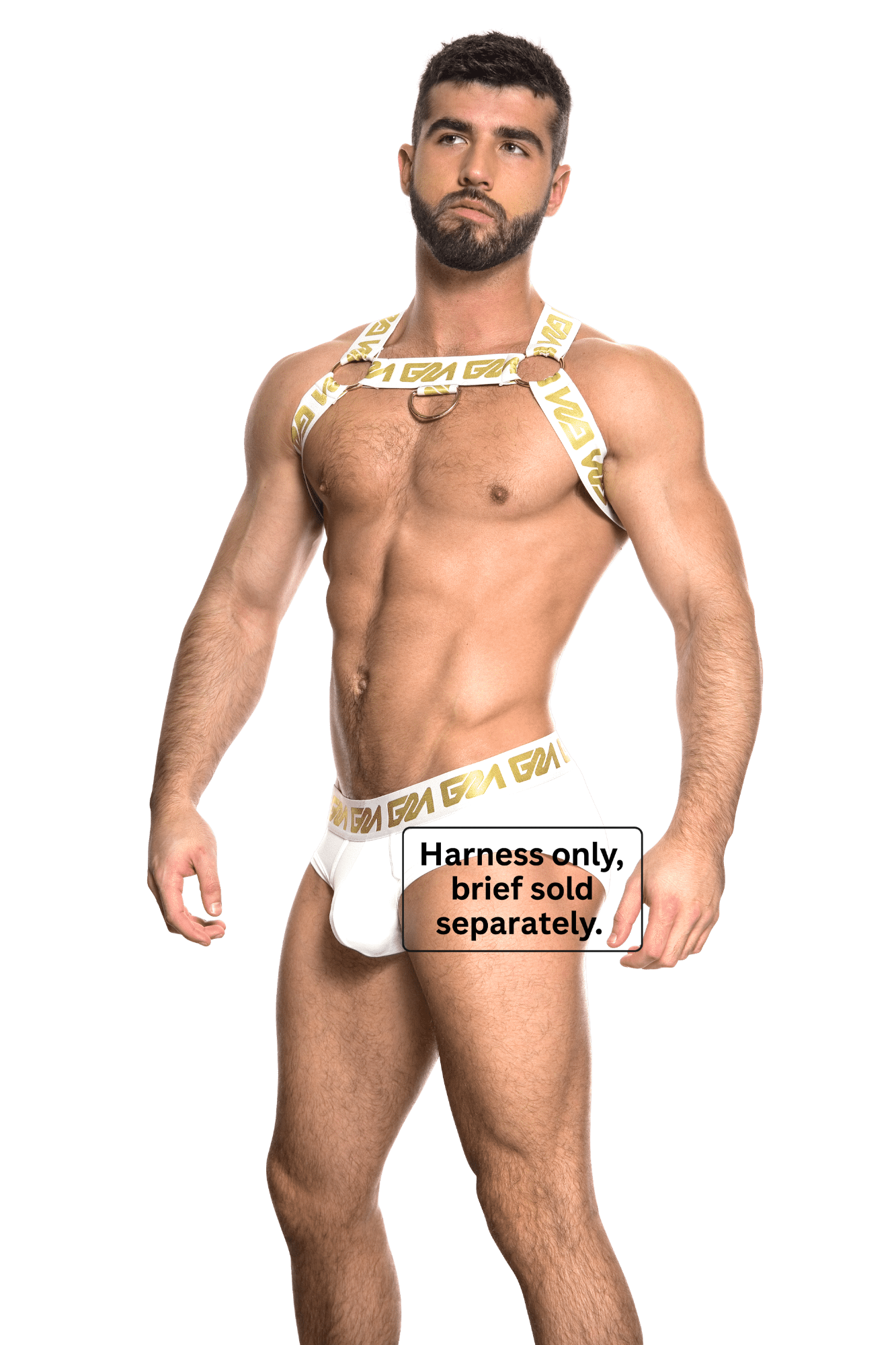 Garçon Arnés del circuito de San Marcos