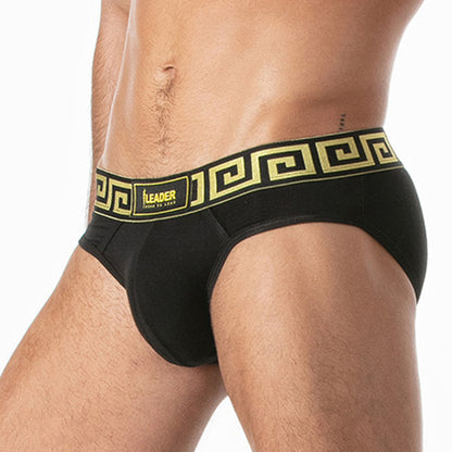 LEADER Invictus Brief Black-Gold