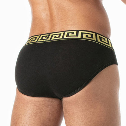LEADER Invictus Brief Black-Gold