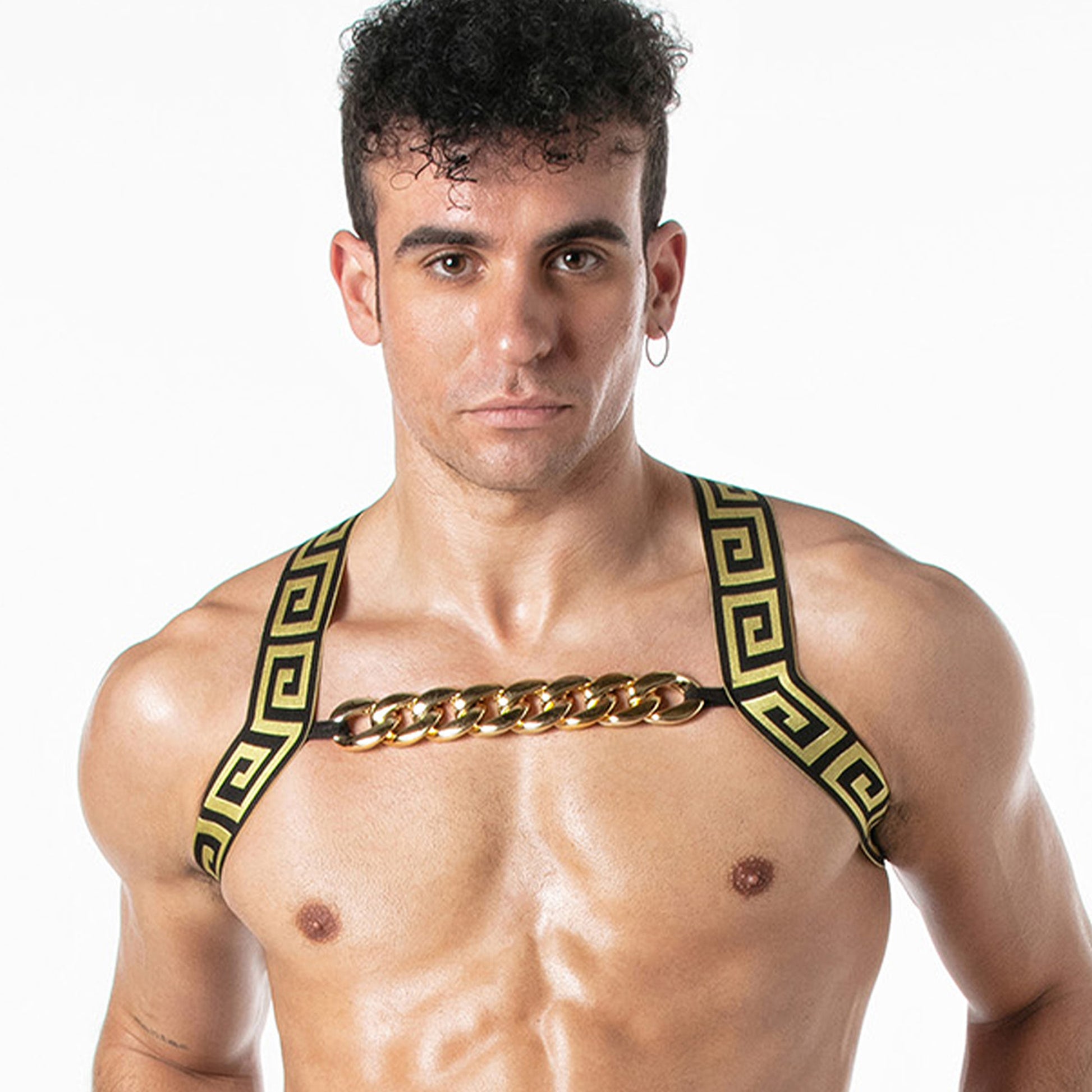 LEADER Invictus Harness Harness Black-Gold