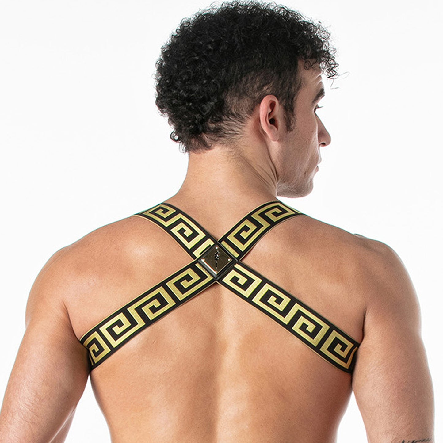 LEADER Invictus Harness Harness Black-Gold
