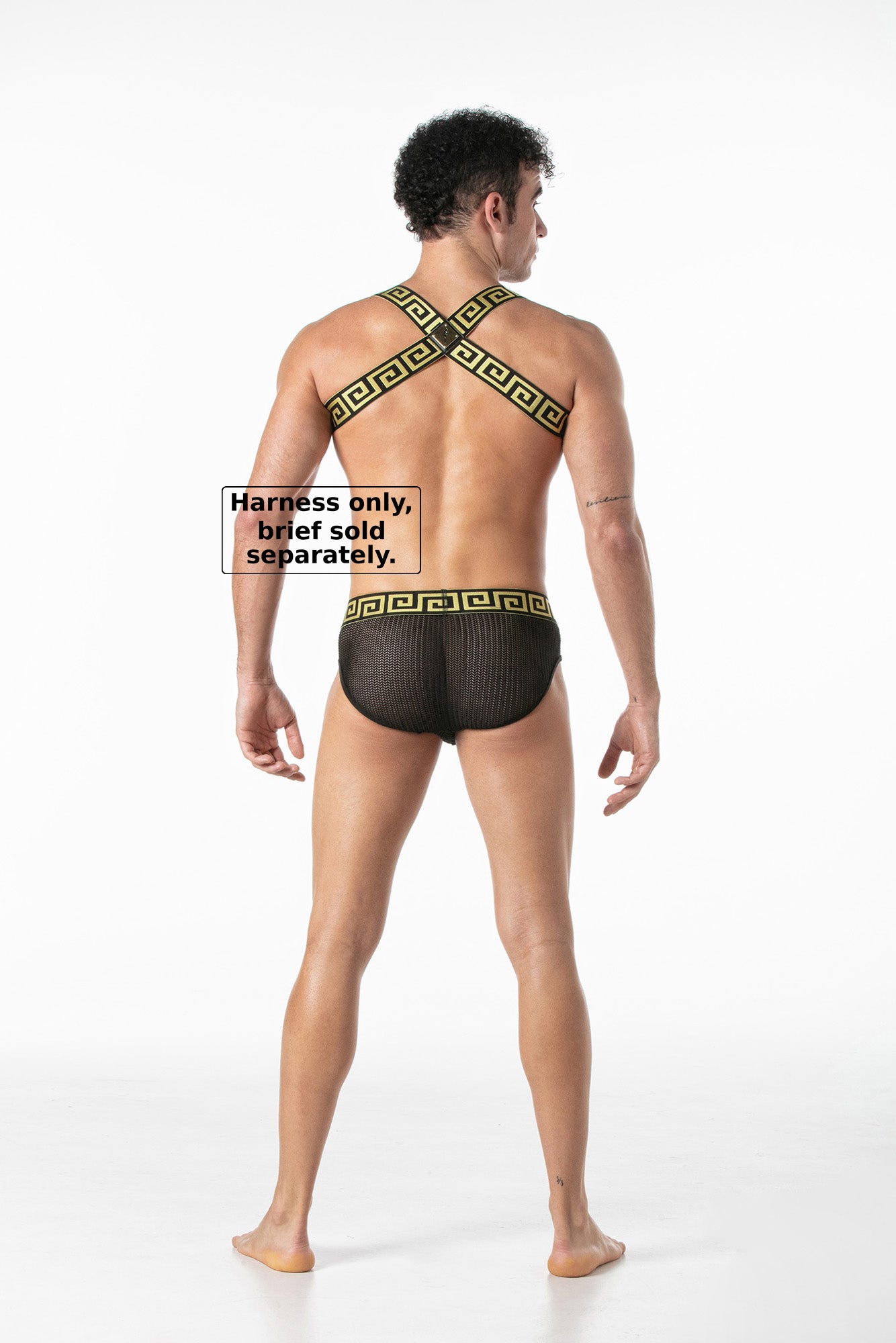 LEADER Invictus Harness Harness Black-Gold