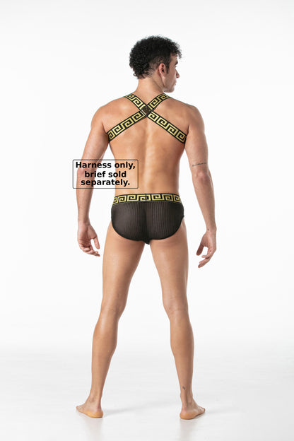 LEADER Invictus Harness Harness Black-Gold
