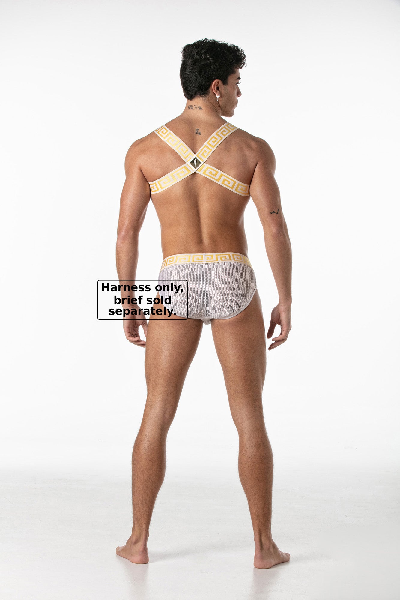 LEADER Invictus Harness Harness White-Gold