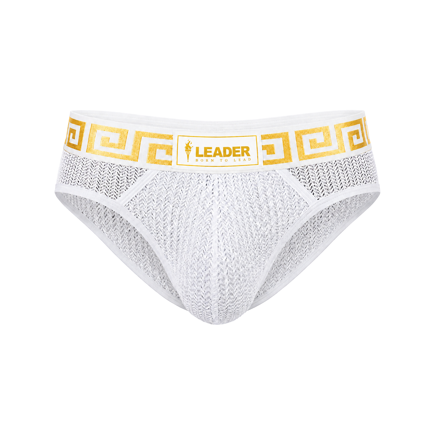 LEADER Invictus Mesh Brief White-Gold