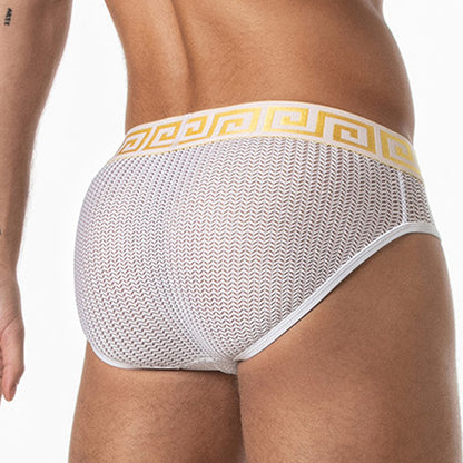 LEADER Invictus Mesh Brief White-Gold