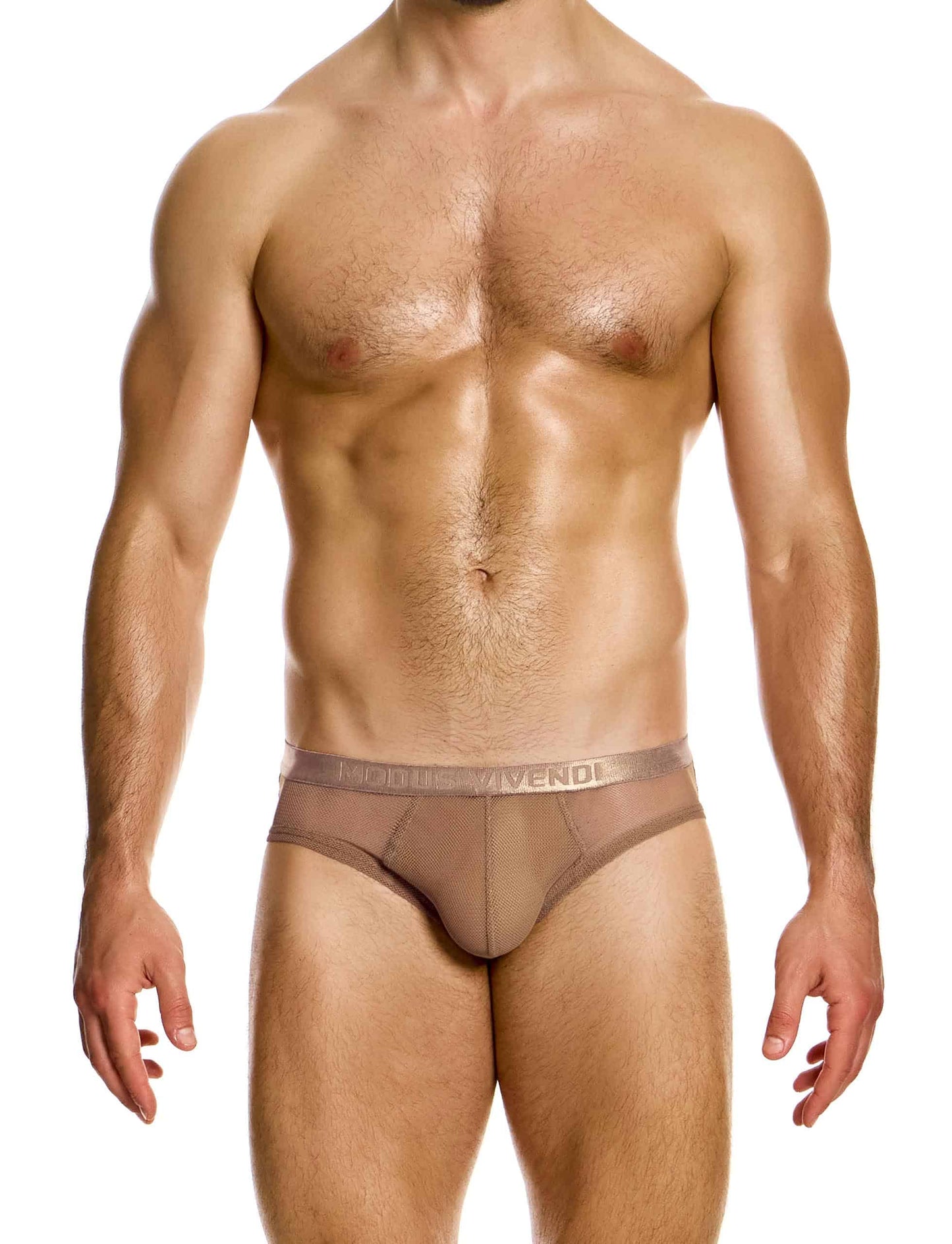 MODUS VIVENDI Mesh Through Classic Brief Skin