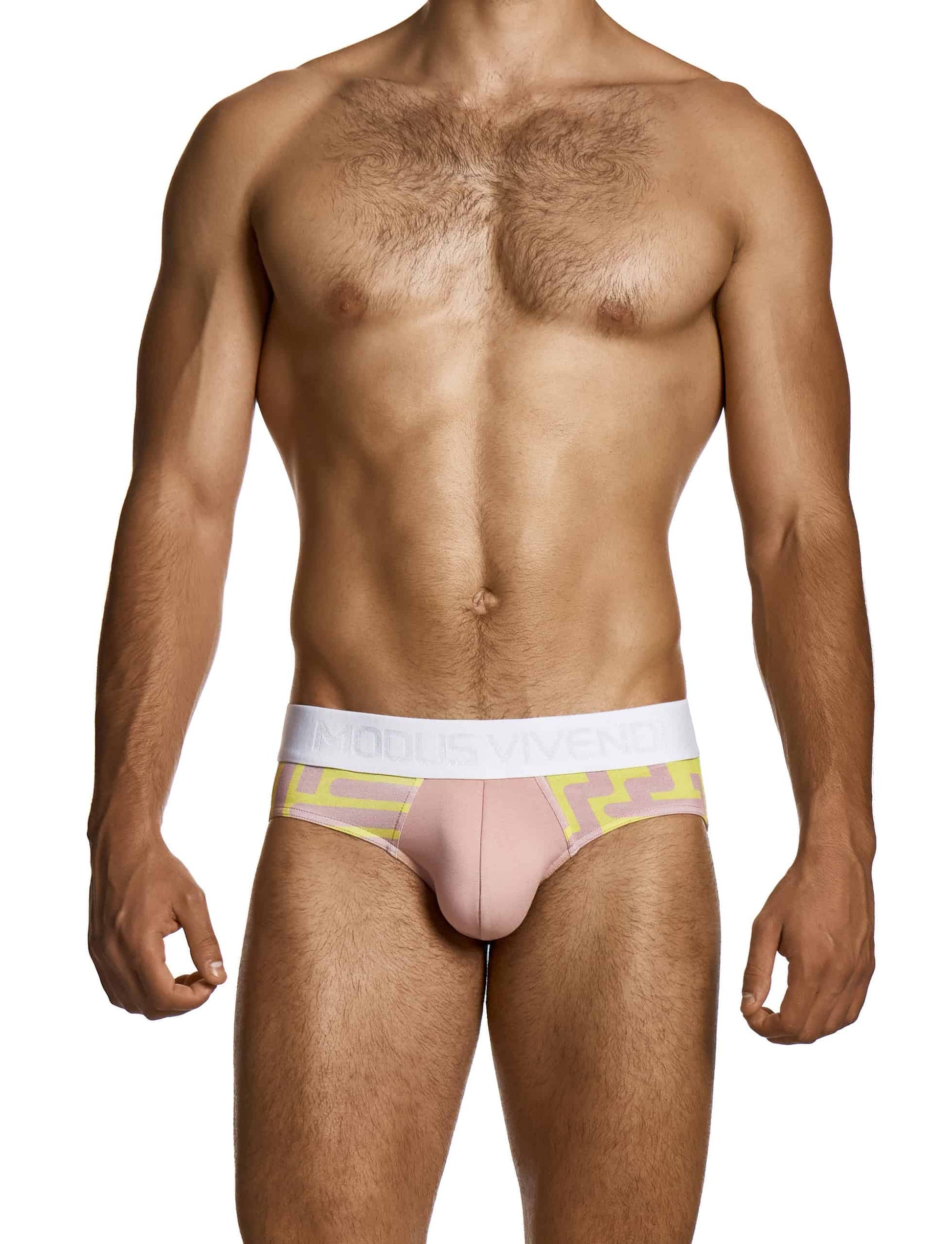 Modus Vivendi Labyrinth Combo Briefs Dusty-Pink