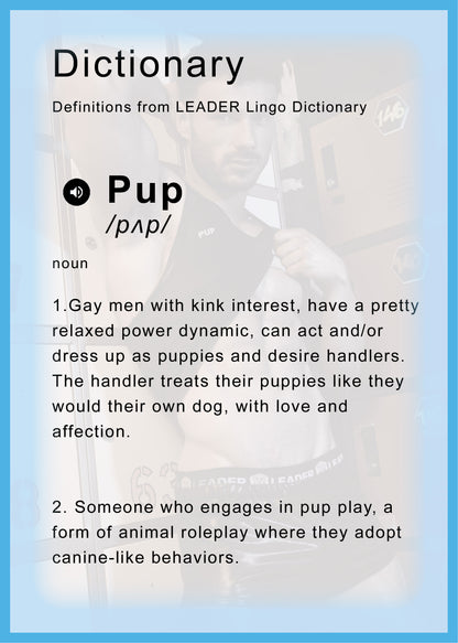 LEADER ID Party Singlet Pup Black/Blue