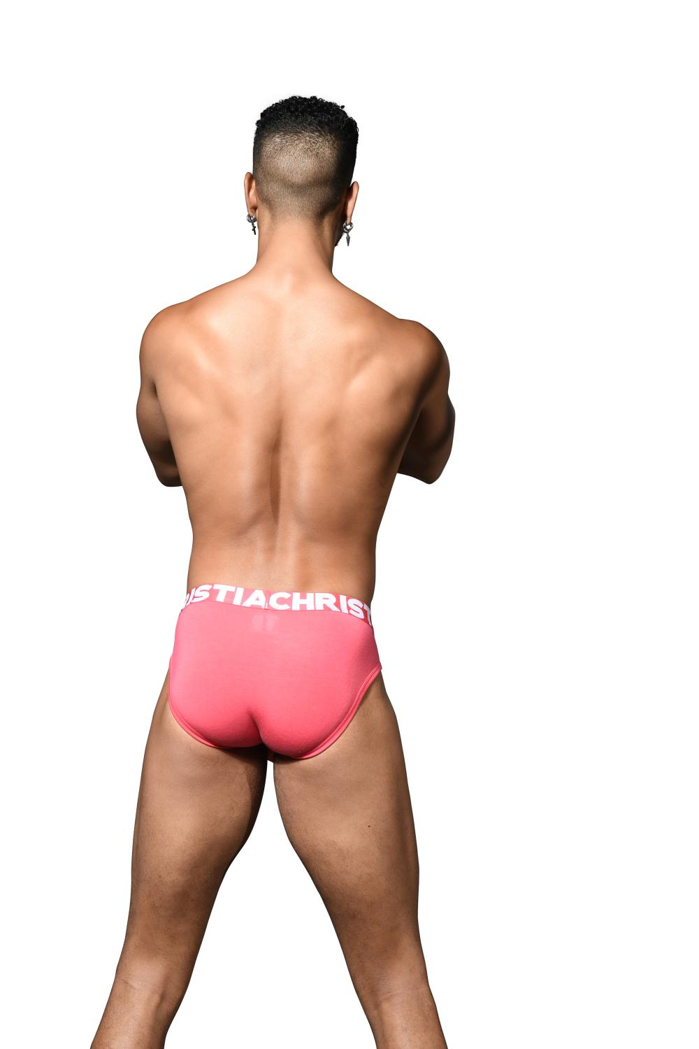 Andrew Christian Majtki bambusowe TROPHY BOY® (dla zawieszonych facetów) Teaberry