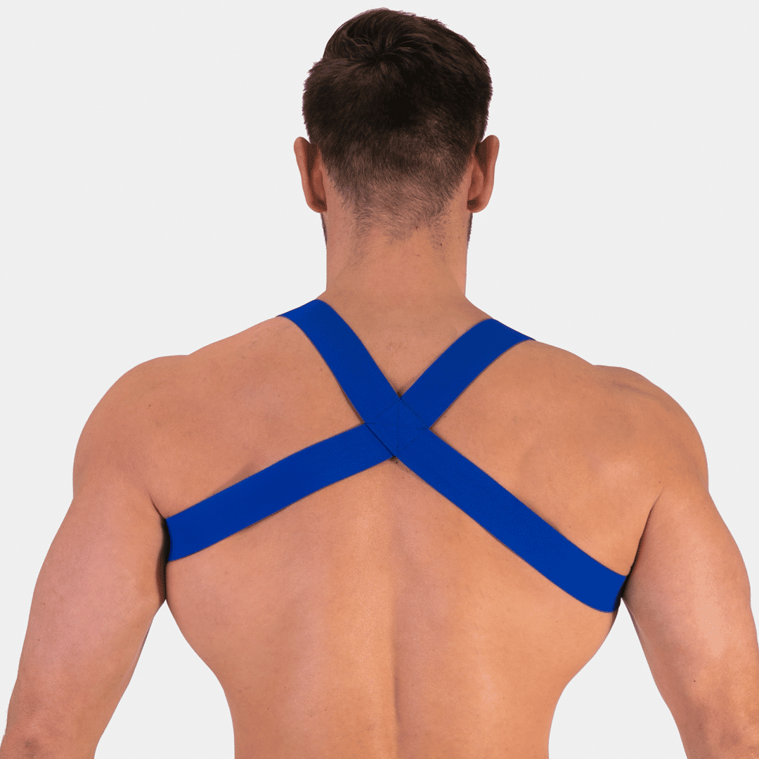 Barcode Berlin Harness Matt Royal