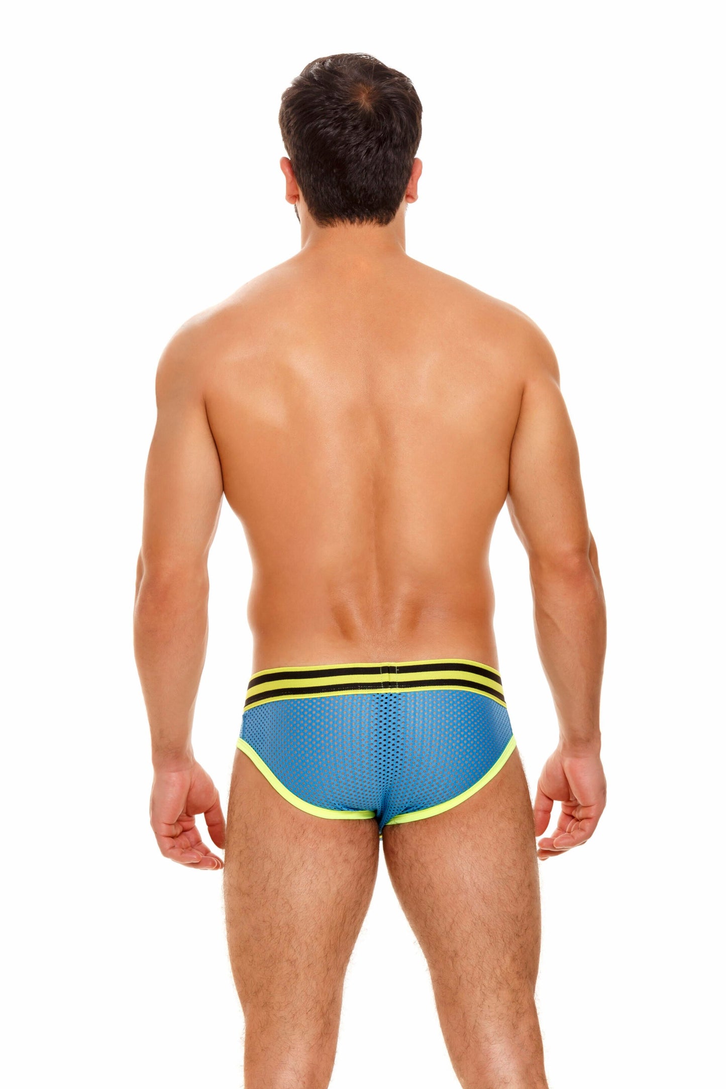 JOR Lettera reale dei cavalieri